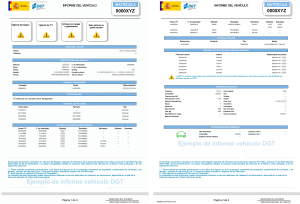 Ejemplo de informe dgt cuando el vehículo tiene incidencias y cargas. informe dgt vehículo
